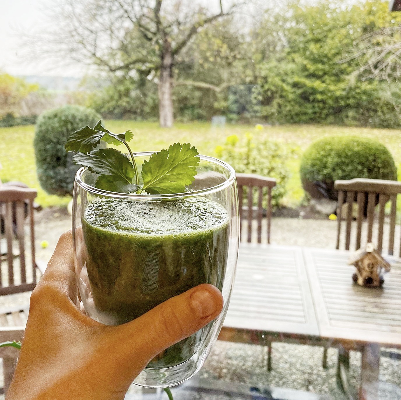 green_detox_smoothie