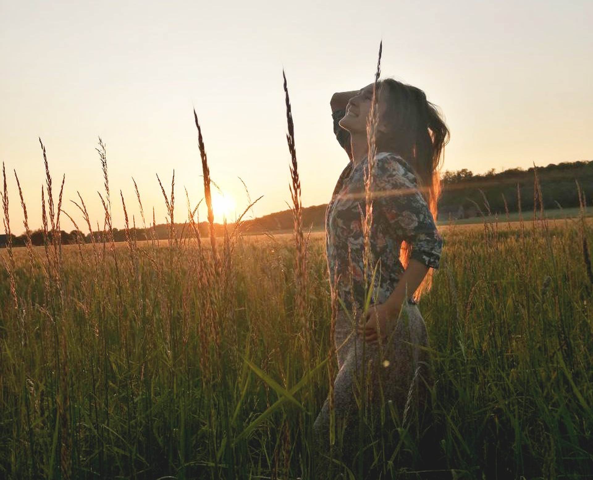 siri_sunset_in_the_field